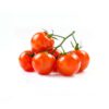 Cherry Tomato 1 KG