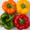 Colored Capsicum 1 pcs Each