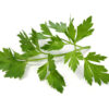 Parsley Leaves 100 gm